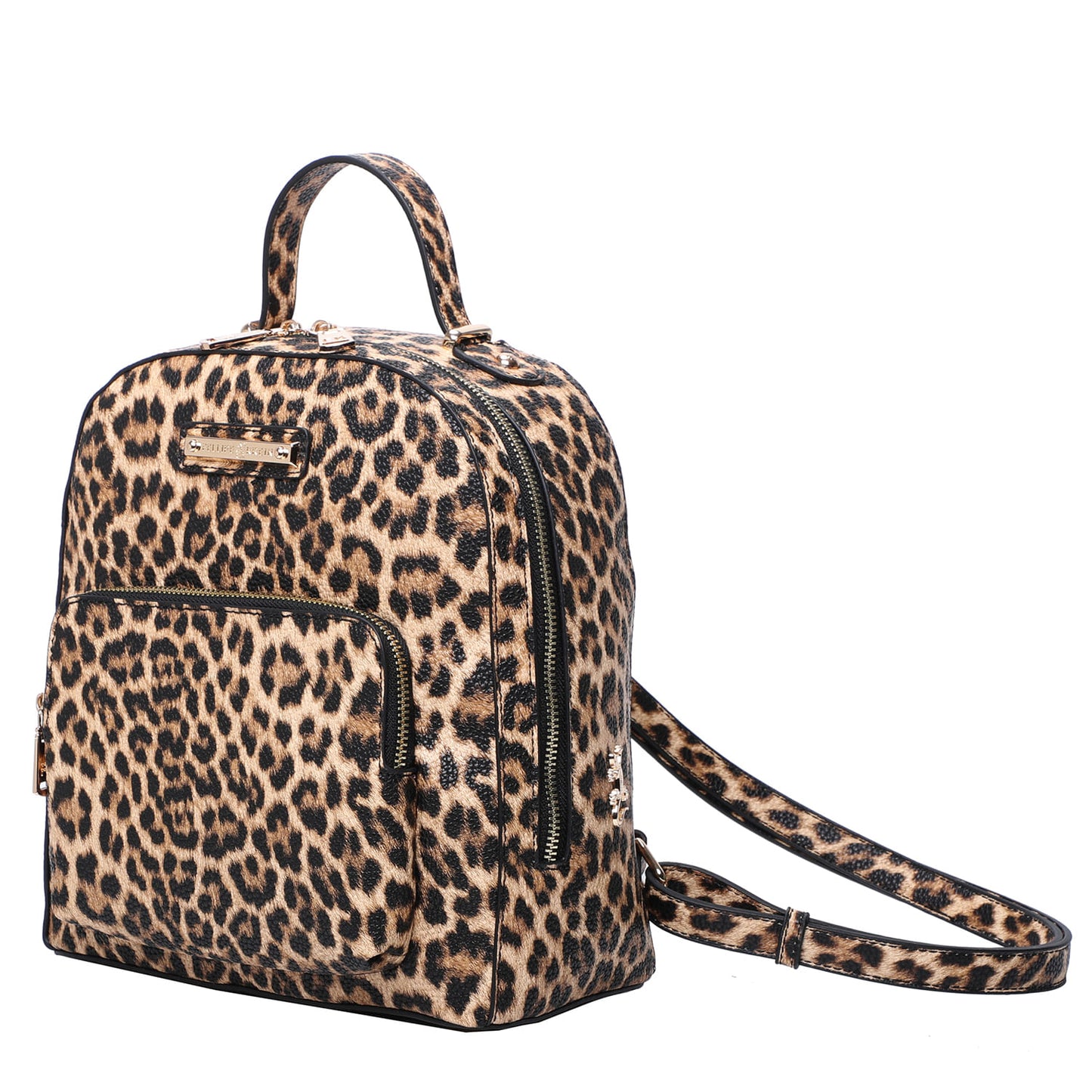 FK577_Leopardo_2
