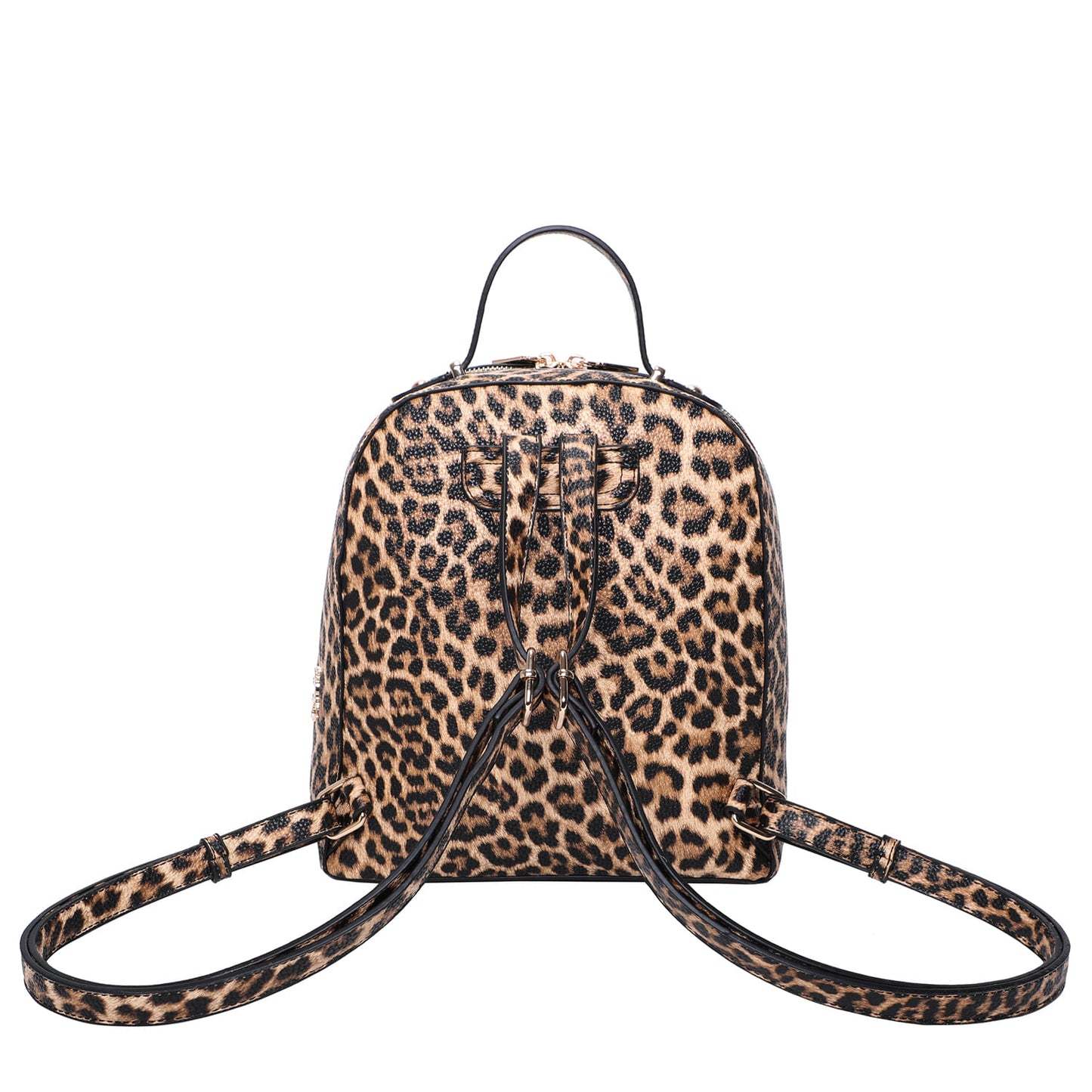 FK577_Leopardo_3